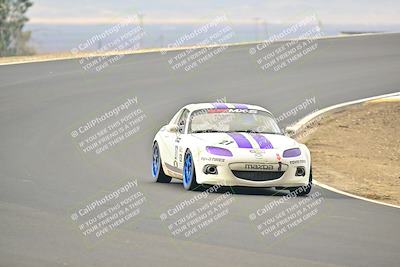 media/Jan-26-2025-CalClub SCCA (Sun) [[cfcea7df88]]/Group 1/Race/